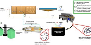 Disintegrated Waste-Activated Sludge (NO2/FNA Method) as a Source of Carbon for Denitrification in the Mainstream of a WWTP