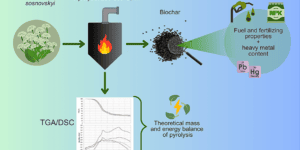 Heracleum sosnowskyi pyrolysis – Energy and environmental aspects of biochar utilization