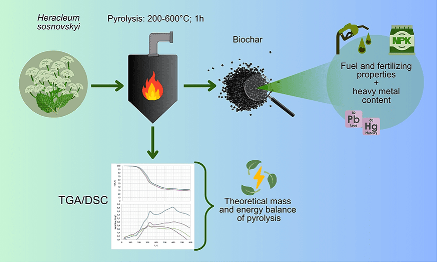 Heracleum sosnowskyi pyrolysis – Energy and environmental aspects of biochar utilization